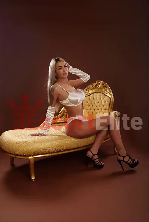 Verifizierte Escort Damen Wien
